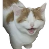 taobinguuu17827