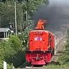 bogem.5