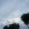 cloudsaregrey29