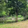 nguyenthinga527