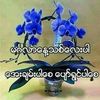jasmine34612