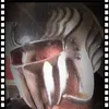 ken_keybook_tiktok