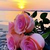 ayush73096