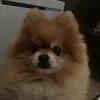 Just_Hugo✨