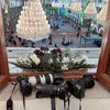كربلاء المقدسه