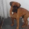 luisk957