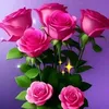 antoninacicirell4