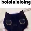 mad.manngl