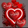 user7283079561781