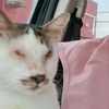 nonie78_