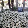 marion_0679