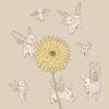 daisybunny567