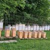 gainerfarmsapiary