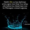 queeabdi2