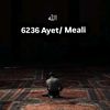 6236 Ayet/ meali