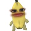 its.not.jocc_