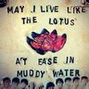 trippy.hippie_420