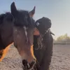 lula_equestxxn