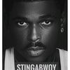 stingabwoyreal
