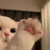 soojinn4