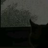 enriq2_4