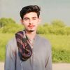 ch_zain_295