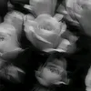 s_t_a_r_334