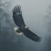 jaymasterjay66