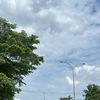 widyalukiana