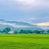 Bình Định Quê Hương