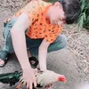 bangngaoday