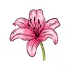 elliwell02