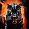 black.jaguar387