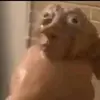 shakahbrah_