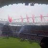 h_wilson487