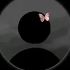 jjnorjj20