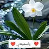 dy376bdrvake