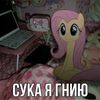 kdbfox_bitch