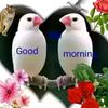 mdjunuahmed877