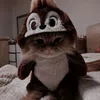 dyjjgzuk50dy