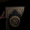 shehata179