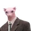raulzitto777