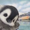 userunknown77890