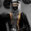 mshal377