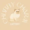 chubbycharmcattery