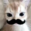 _.mey._cuti_