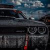 palley69