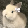 convitbietboi87