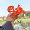 sabihaislammaya3.com
