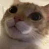 spooooooon5